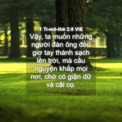 Picture 04 - 1 Ti-mô-thê 2:8 VIE - Vậy, ta muốn những người đàn ông - Bible Verse Picture