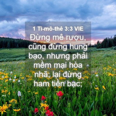Picture 04 - 1 Ti-mô-thê 3:3 VIE - Đừng mê rượu, cũng đừng hung bạo, - Bible Verse Picture