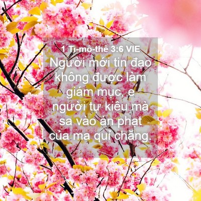 Picture 04 - 1 Ti-mô-thê 3:6 VIE - Người mới tin đạo không được làm - Bible Verse Picture