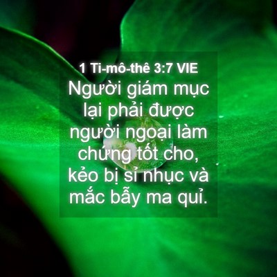 Picture 04 - 1 Ti-mô-thê 3:7 VIE - Người giám mục lại phải được - Bible Verse Picture