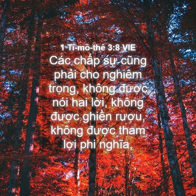 Picture 04 - 1 Ti-mô-thê 3:8 VIE - Các chấp sự cũng phải cho nghiêm - Bible Verse Picture