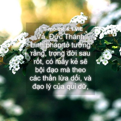 Picture 04 - 1 Ti-mô-thê 4:1 VIE - Vả, Đức Thánh Linh phán tỏ tường - Bible Verse Picture