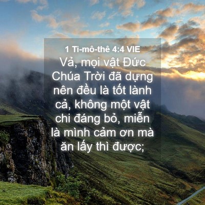 Picture 04 - 1 Ti-mô-thê 4:4 VIE - Vả, mọi vật Đức Chúa Trời đã dựng - Bible Verse Picture