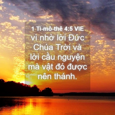 Picture 04 - 1 Ti-mô-thê 4:5 VIE - vì nhờ lời Đức Chúa Trời và lời - Bible Verse Picture