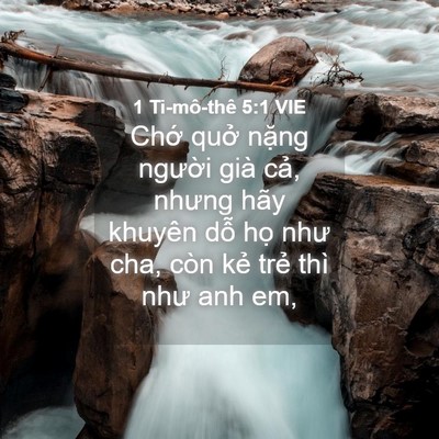 Picture 04 - 1 Ti-mô-thê 5:1 VIE - Chớ quở nặng người già cả, nhưng - Bible Verse Picture