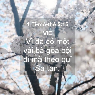 Picture 04 - 1 Ti-mô-thê 5:15 VIE - Vì đã có một vài bà góa bội đi mà - Bible Verse Picture