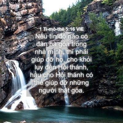 Picture 04 - 1 Ti-mô-thê 5:16 VIE - Nếu tín đồ nào có đàn bà góa trong - Bible Verse Picture