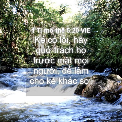 Picture 04 - 1 Ti-mô-thê 5:20 VIE - Kẻ có lỗi, hãy quở trách họ trước - Bible Verse Picture