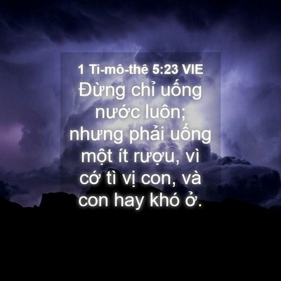 Picture 04 - 1 Ti-mô-thê 5:23 VIE - Đừng chỉ uống nước luôn; nhưng phải - Bible Verse Picture