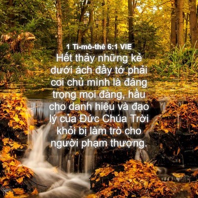 Picture 04 - 1 Ti-mô-thê 6:1 VIE - Hết thảy những kẻ dưới ách đầy - Bible Verse Picture