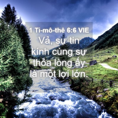 Picture 04 - 1 Ti-mô-thê 6:6 VIE - Vả, sự tin kính cùng sự thỏa lòng ấy - Bible Verse Picture