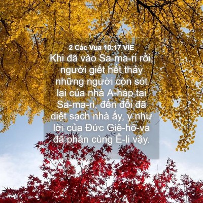 Picture 04 - 2 Các Vua 10:17 VIE - Khi đã vào Sa-ma-ri rồi, người giết - Bible Verse Picture