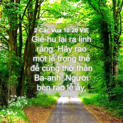 Picture 04 - 2 Các Vua 10:20 VIE - Giê-hu lại ra lịnh rằng: Hãy rao một - Bible Verse Picture