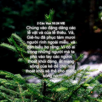 Picture 04 - 2 Các Vua 10:24 VIE - Chúng vào đặng dâng các lễ vật và - Bible Verse Picture