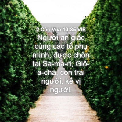 Picture 04 - 2 Các Vua 10:35 VIE - Người an giấc cùng các tổ phụ mình, - Bible Verse Picture