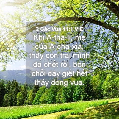 Picture 04 - 2 Các Vua 11:1 VIE - Khi A-tha-li, mẹ của A-cha-xia, thấy con - Bible Verse Picture