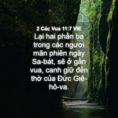 Picture 04 - 2 Các Vua 11:7 VIE - Lại hai phần ba trong các ngươi mãn - Bible Verse Picture