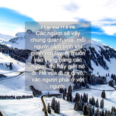 Picture 04 - 2 Các Vua 11:8 VIE - Các ngươi sẽ vây chung quanh vua, mỗi - Bible Verse Picture