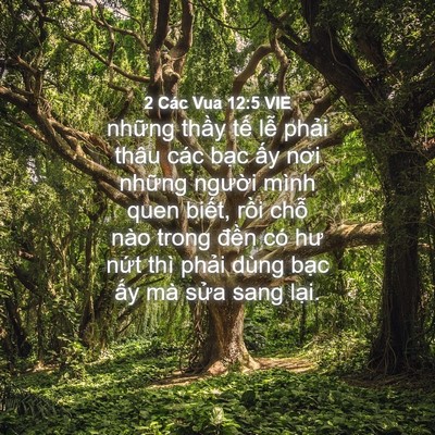 Picture 04 - 2 Các Vua 12:5 VIE - những thầy tế lễ phải thâu các bạc - Bible Verse Picture