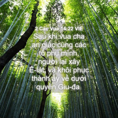 Picture 04 - 2 Các Vua 14:22 VIE - Sau khi vua cha an giấc cùng các tổ phụ - Bible Verse Picture