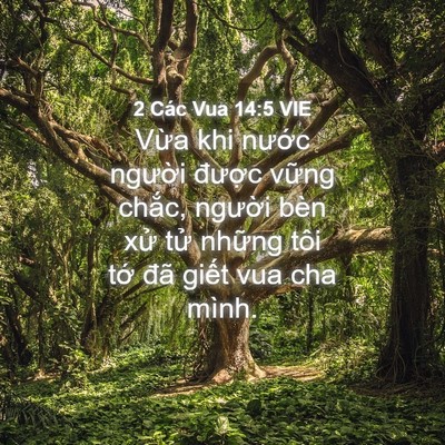 Picture 04 - 2 Các Vua 14:5 VIE - Vừa khi nước người được vững - Bible Verse Picture