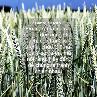 Picture 04 - 2 Các Vua 14:8 VIE - Đoạn, A-ma-xia sai sứ giả đến cùng - Bible Verse Picture