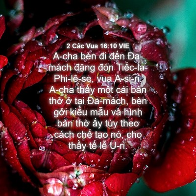 Picture 04 - 2 Các Vua 16:10 VIE - A-cha bèn đi đến Đa-mách đặng đón - Bible Verse Picture
