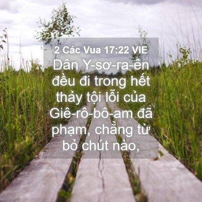 Picture 04 - 2 Các Vua 17:22 VIE - Dân Y-sơ-ra-ên đều đi trong hết thảy - Bible Verse Picture