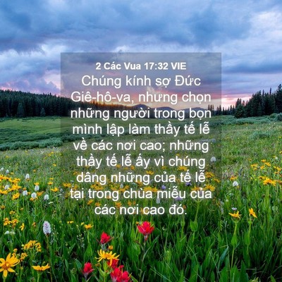 Picture 04 - 2 Các Vua 17:32 VIE - Chúng kính sợ Đức Giê-hô-va, nhưng - Bible Verse Picture