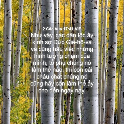 Picture 04 - 2 Các Vua 17:41 VIE - Như vậy, các dân tộc ấy kính sợ - Bible Verse Picture