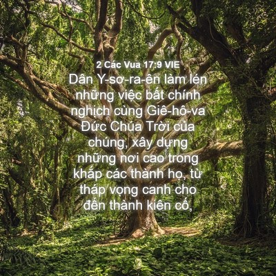 Picture 04 - 2 Các Vua 17:9 VIE - Dân Y-sơ-ra-ên làm lén những việc bất - Bible Verse Picture
