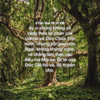 Picture 04 - 2 Các Vua 18:12 VIE - ấy vì chúng không có vâng theo lời phán - Bible Verse Picture