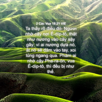 Picture 04 - 2 Các Vua 18:21 VIE - Ta thấy rõ điều đó: Ngươi nhờ cậy - Bible Verse Picture