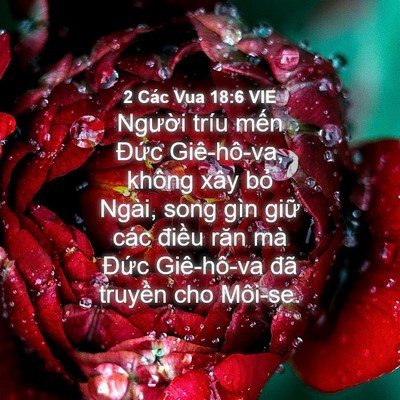 Picture 04 - 2 Các Vua 18:6 VIE - Người tríu mến Đức Giê-hô-va, không - Bible Verse Picture