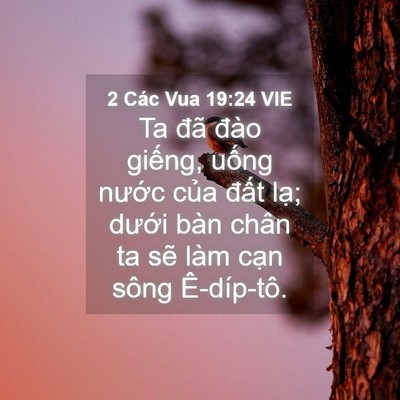 Picture 04 - 2 Các Vua 19:24 VIE - Ta đã đào giếng, uống nước của - Bible Verse Picture