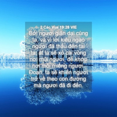 Picture 04 - 2 Các Vua 19:28 VIE - Bởi ngươi giận dại cùng ta, và vì - Bible Verse Picture