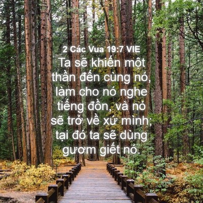 Picture 04 - 2 Các Vua 19:7 VIE - Ta sẽ khiến một thần đến cùng nó, - Bible Verse Picture