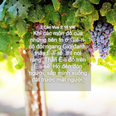 Picture 04 - 2 Các Vua 2:15 VIE - Khi các môn đồ của những tiên tri ở - Bible Verse Picture