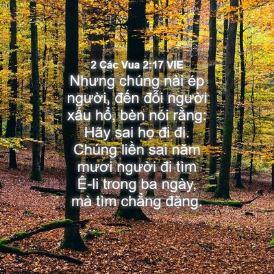 Picture 04 - 2 Các Vua 2:17 VIE - Nhưng chúng nài ép người, đến đỗi - Bible Verse Picture