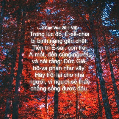 Picture 04 - 2 Các Vua 20:1 VIE - Trong lúc đó, Ê-xê-chia bị bịnh nặng - Bible Verse Picture