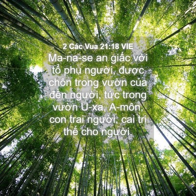 Picture 04 - 2 Các Vua 21:18 VIE - Ma-na-se an giấc với tổ phụ người, - Bible Verse Picture