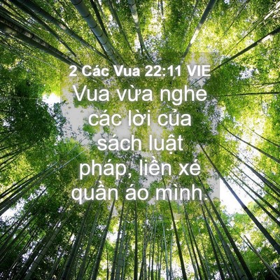 Picture 04 - 2 Các Vua 22:11 VIE - Vua vừa nghe các lời của sách luật - Bible Verse Picture