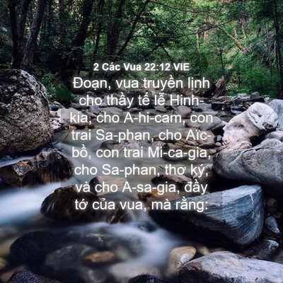Picture 04 - 2 Các Vua 22:12 VIE - Đoạn, vua truyền lịnh cho thầy tế lễ - Bible Verse Picture