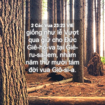 Picture 04 - 2 Các Vua 23:23 VIE - giống như lễ Vượt qua giữ cho Đức - Bible Verse Picture