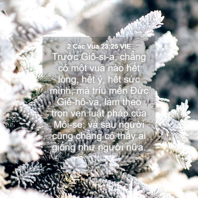 Picture 04 - 2 Các Vua 23:25 VIE - Trước Giô-si-a, chẳng có một vua nào - Bible Verse Picture