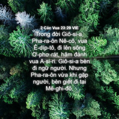 Picture 04 - 2 Các Vua 23:29 VIE - Trong đời Giô-si-a, Pha-ra-ôn Nê-cô, vua - Bible Verse Picture