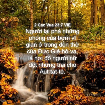 Picture 04 - 2 Các Vua 23:7 VIE - Người lại phá những phòng của bợm - Bible Verse Picture