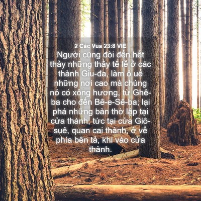 Picture 04 - 2 Các Vua 23:8 VIE - Người cũng đòi đến hết thảy những - Bible Verse Picture