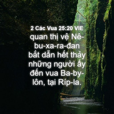 Picture 04 - 2 Các Vua 25:20 VIE - quan thị vệ Nê-bu-xa-ra-đan bắt dẫn - Bible Verse Picture