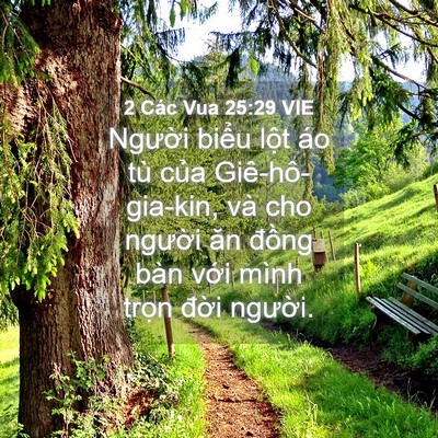 Picture 04 - 2 Các Vua 25:29 VIE - Người biểu lột áo tù của - Bible Verse Picture